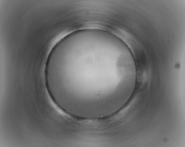 X0000096960995200802081226