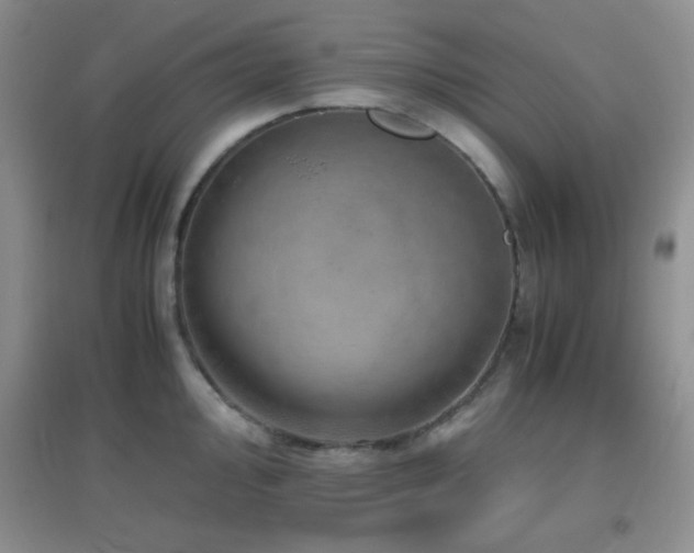 X0000096961000200802081226