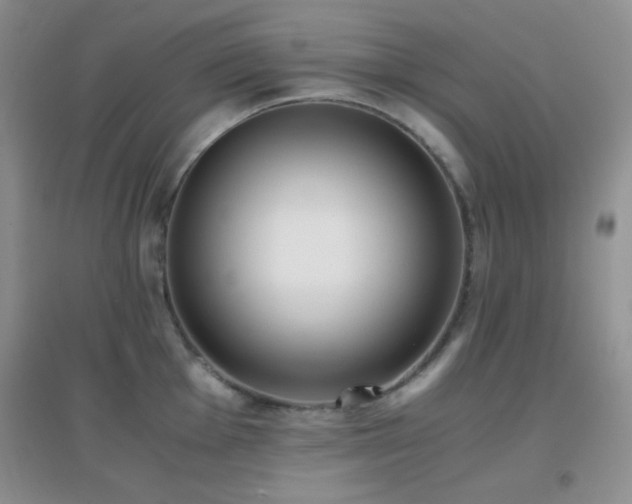 X0000096961001200802081226