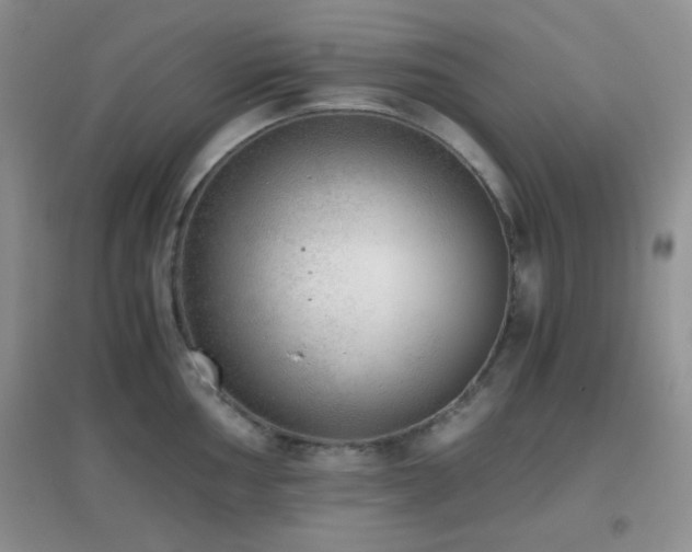 X0000096961002200802081226