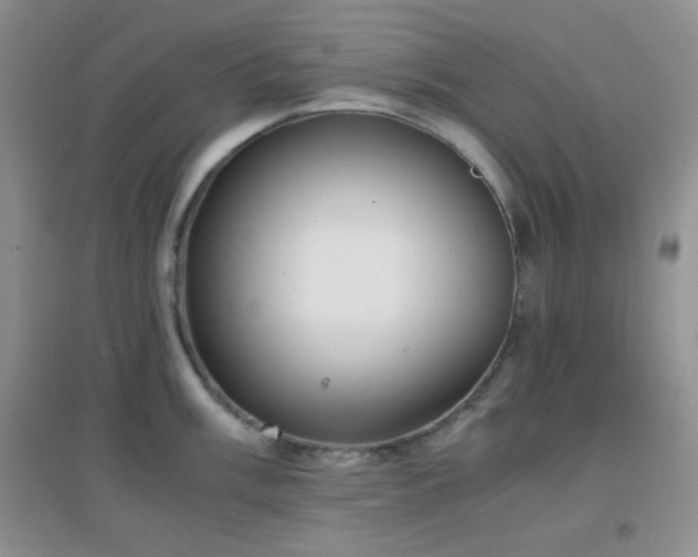 X0000096961003200802081226