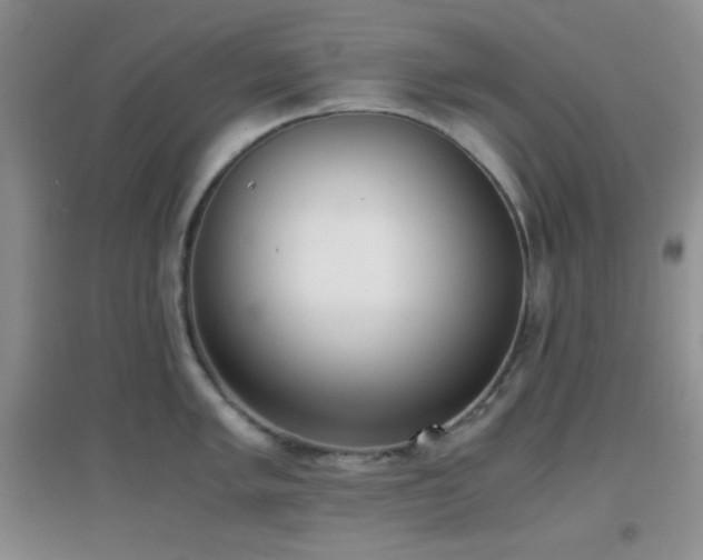 X0000096961005200802081226