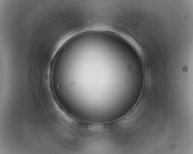 X0000096961006200802081226