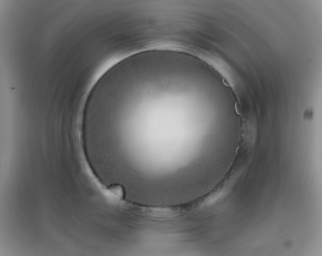 X0000096961007200802081226