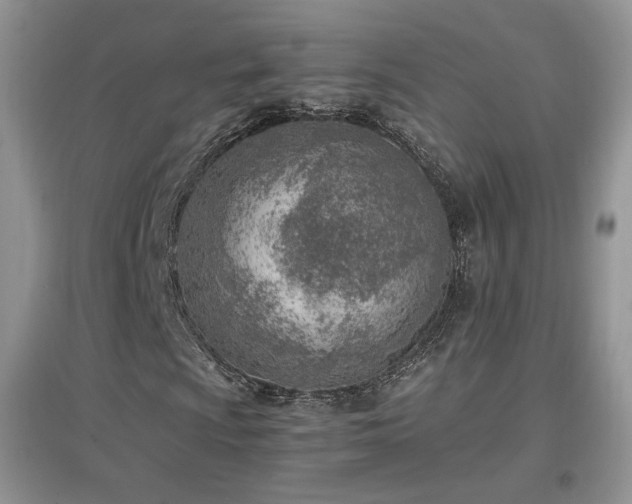 X0000096961009200802081225