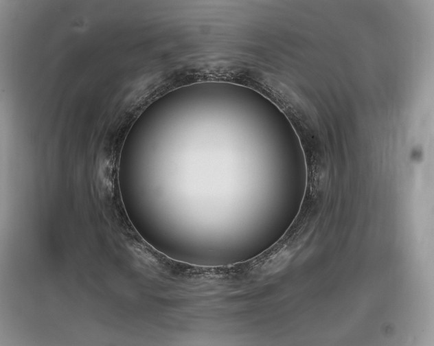 X0000096961010200802081225