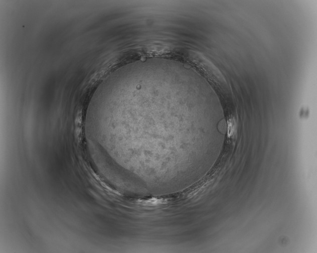 X0000096961011200802081225