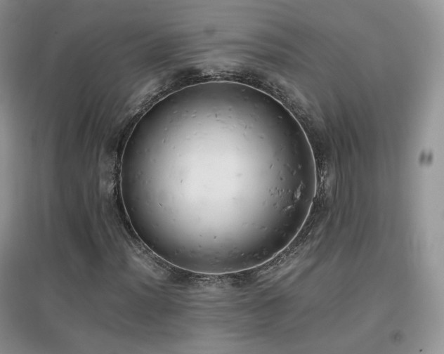 X0000096961012200802081225