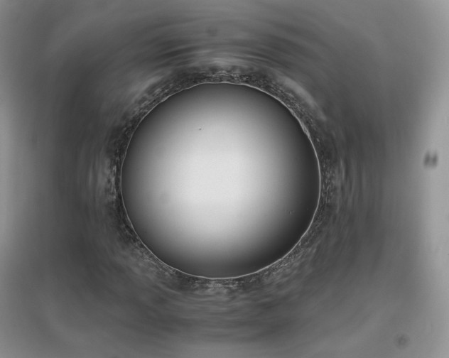 X0000096961013200802081225