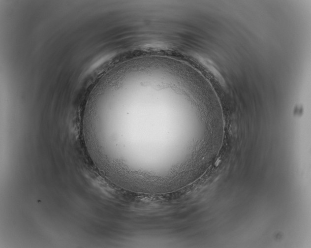 X0000096961015200802081225