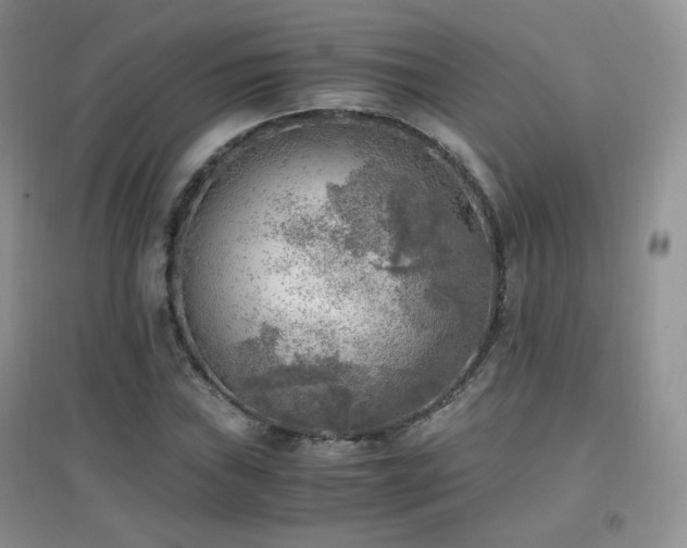 X0000096961019200802081225