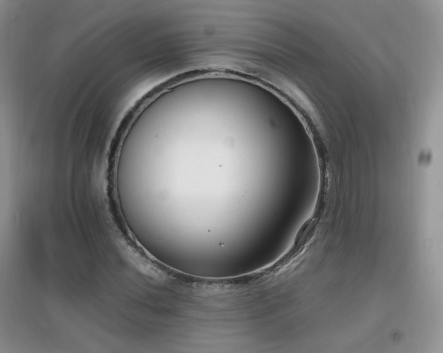 X0000096961020200802081225