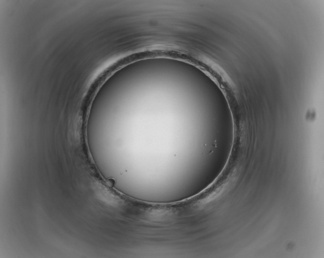 X0000096961021200802081225