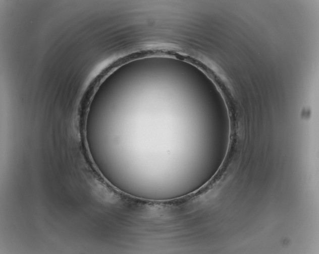 X0000096961022200802081225