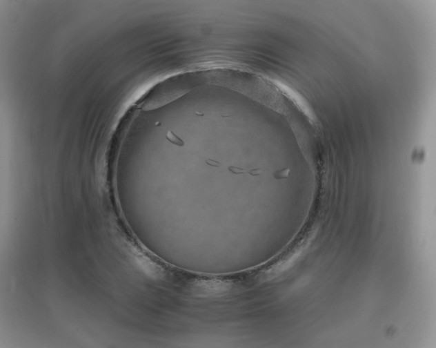 X0000096961023200802081225