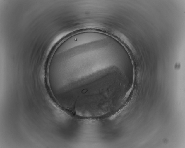 X0000096961024200802081225