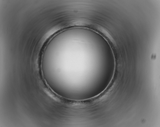 X0000096961026200802081225