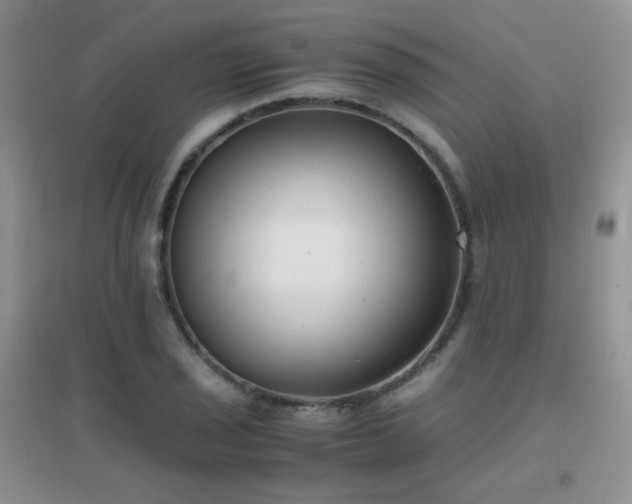 X0000096961029200802081226