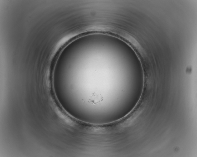 X0000096961030200802081226