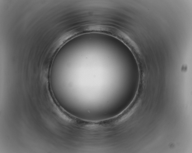 X0000096961033200802081226