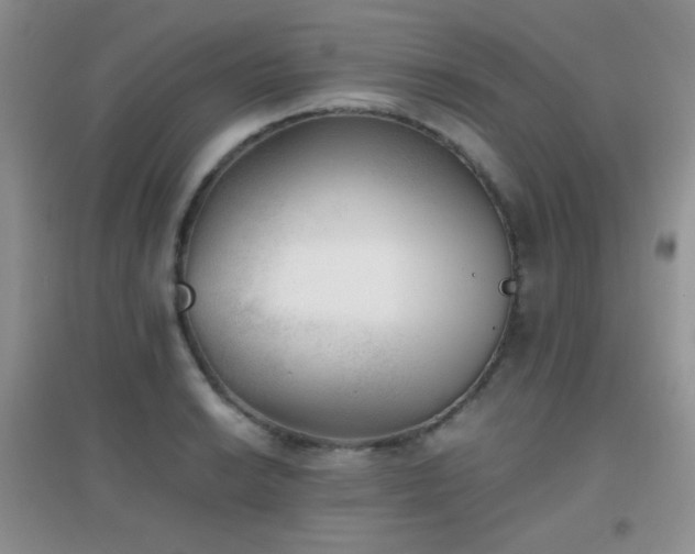 X0000096961038200802081226