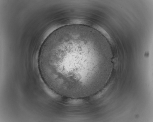 X0000096961039200802081226