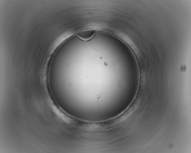 X0000096961042200802081226
