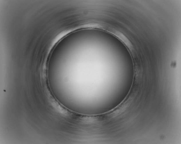 X0000096961044200802081226