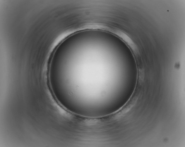 X0000096961046200802081226