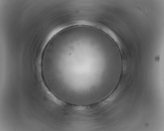 X0000096961048200802081226