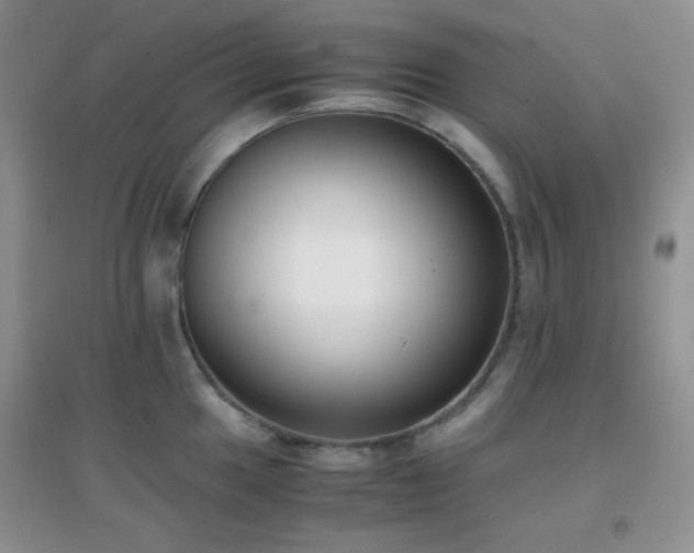 X0000096961049200802081226