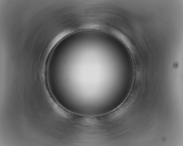 X0000096961050200802081226