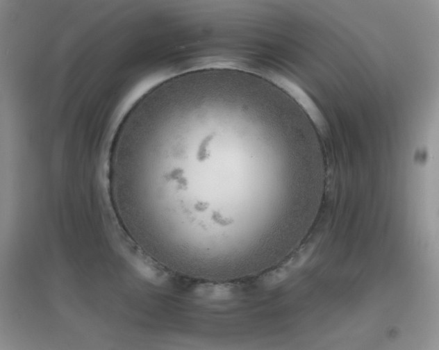 X0000096961051200802081226