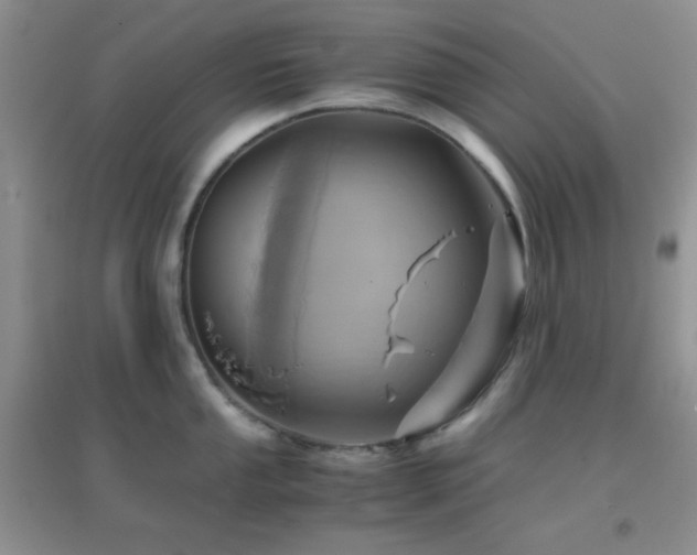X0000096961053200802081226