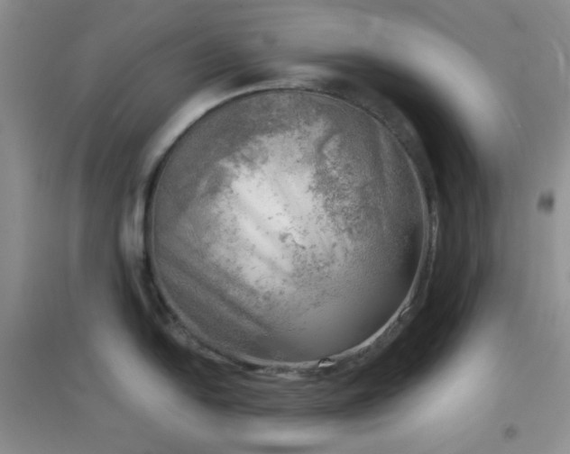 X0000096961054200802081226