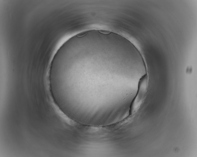 X0000096961056200802081226