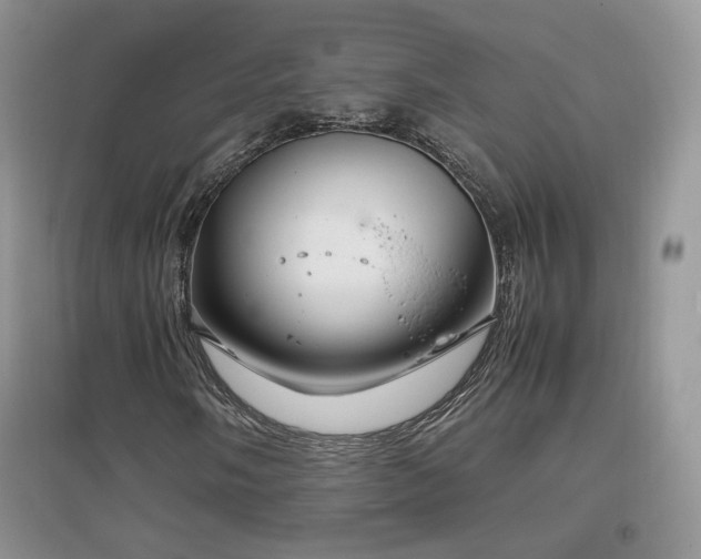 X0000096961058200802081225