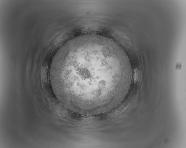 X0000096961059200802081225