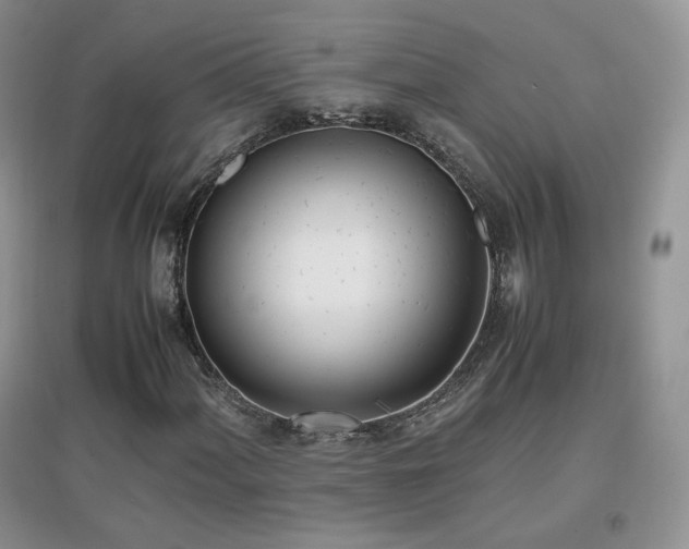 X0000096961060200802081225