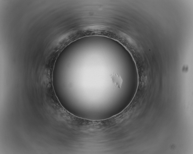 X0000096961062200802081225