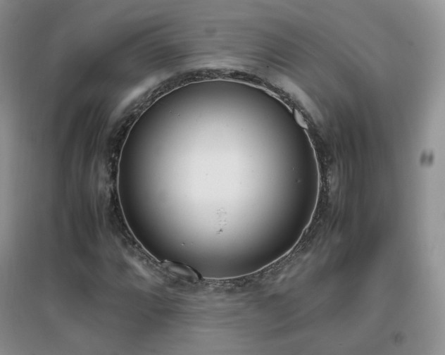 X0000096961064200802081225