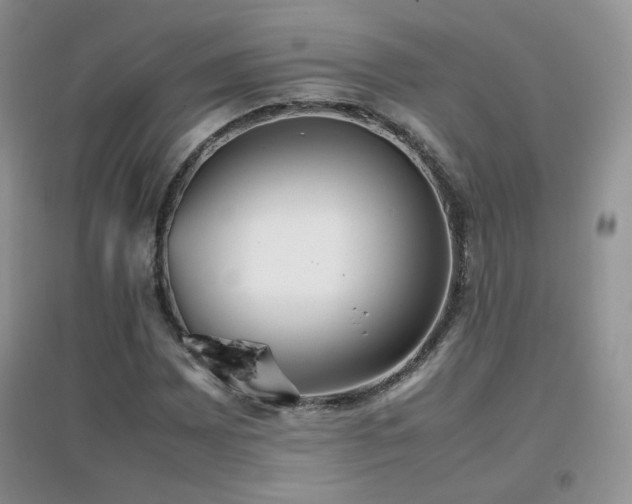 X0000096961065200802081225
