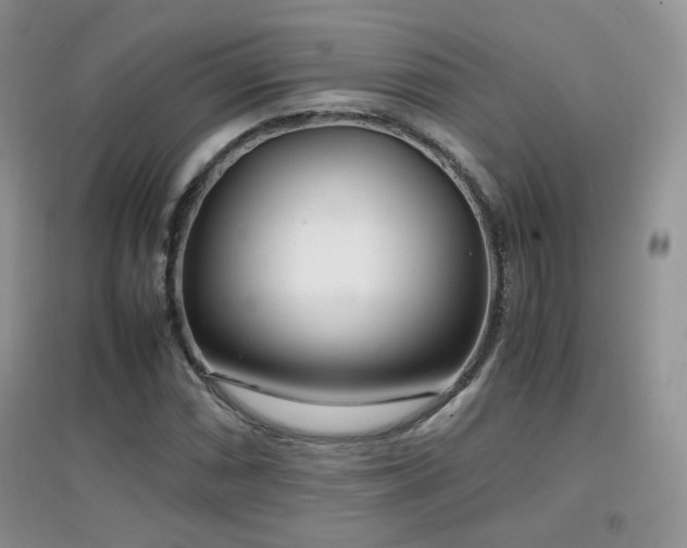 X0000096961066200802081225