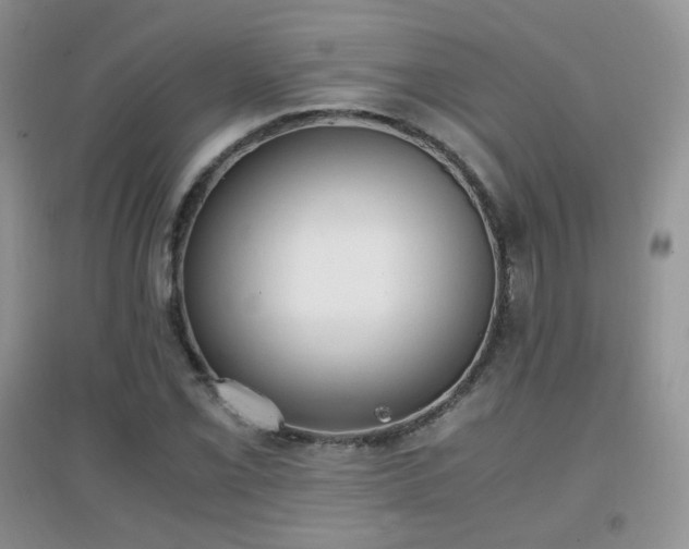 X0000096961069200802081225