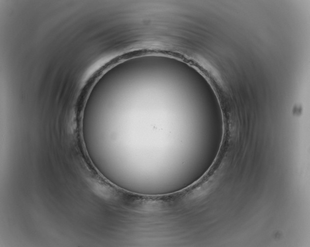 X0000096961070200802081225