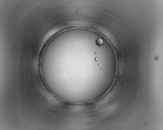 X0000096961074200802081225