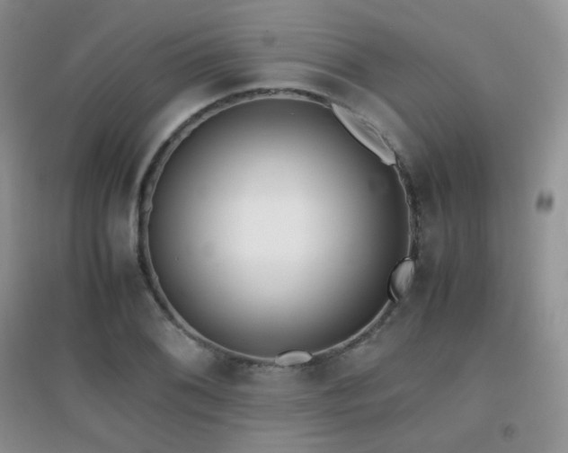X0000096961076200802081225