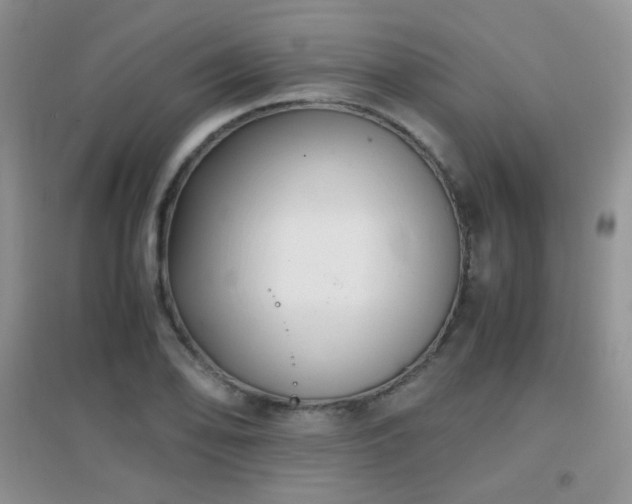 X0000096961078200802081225