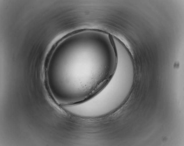 X0000096961080200802081225