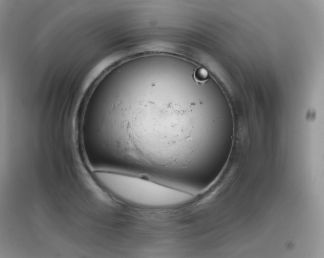 X0000096961082200802081225